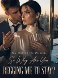 You Wanted the Divorce,So Why Are You Begging Me to Stay？ Novel Cover