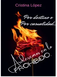 Portada de la novela Arderemos en lo prohibido