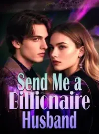 Send Me a Billionaire Husband Novel Cover