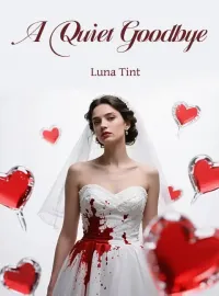 A Quiet Goodbye Novel Cover
