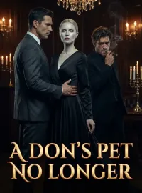 A Don's Pet No Longer Novel Cover