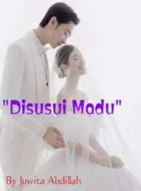 Sampul Novel Disusui Madu 