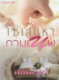 ภาพปกนิยาย โซ่เสน่หากามเทพ