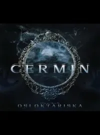 Sampul Novel Cermin
