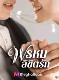ภาพปกนิยาย พรหมลิขิตรัก