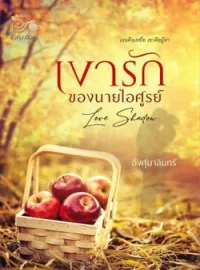 ภาพปกนิยาย เงารักของนายไอศูรย์