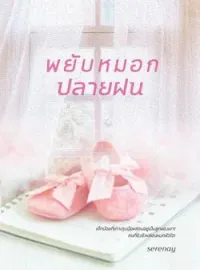 ภาพปกนิยาย พยับหมอกปลายฝน