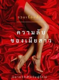 ภาพปกนิยาย ความลับของเมียสาว 