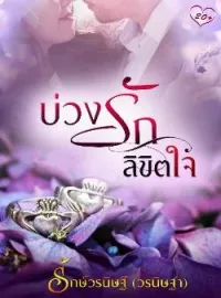 ภาพปกนิยาย บ่วงรักลิขิตใจ