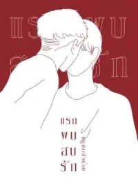 ภาพปกนิยาย แรกพบสบรัก