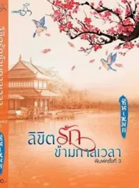 ภาพปกนิยาย ลิขิตรักข้ามกาลเวลา