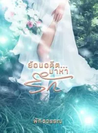 ภาพปกนิยาย ย้อนอดีต...มาหารัก