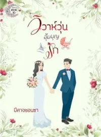 ภาพปกนิยาย วิวาห์วุ่นอุ้มบุญรัก