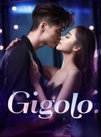 Sampul Novel Gigolo