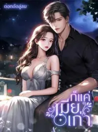 ภาพปกนิยาย ก็แค่เมียเก่า