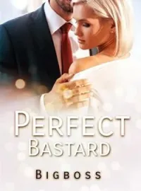Sampul Novel Perfect Bastard