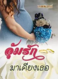 ภาพปกนิยาย  อุ้มรักมาเคียงเธอ