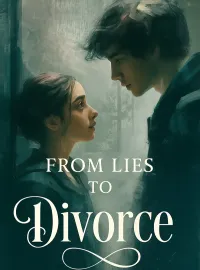From Lies to Divorce Novel Cover