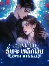 ภาพปกนิยาย หลังสลับคู่ ฉันจะพลิกผันชะตากรรม