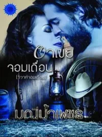 ภาพปกนิยาย อาเขยจอมเถื่อน