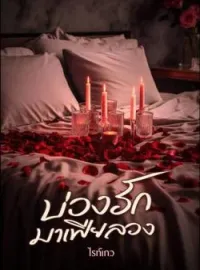 ภาพปกนิยาย บ่วงรักมาเฟียลวง