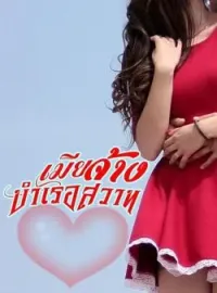 ภาพปกนิยาย เมียจ้างบำเรอสวาท