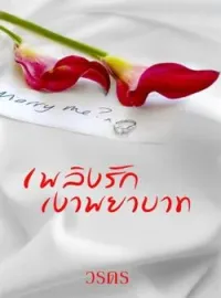 ภาพปกนิยาย เพลิงรักเงาพยาบาท