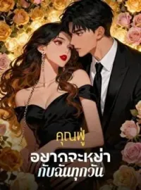 ภาพปกนิยาย คุณฟู่อยากจะหย่ากับฉันทุกวัน