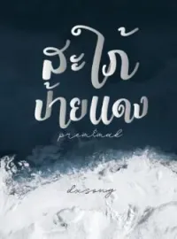 ภาพปกนิยาย สะใภ้ป้ายเเดง