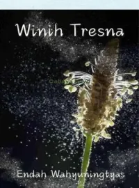Sampul Novel WINIH TRESNA