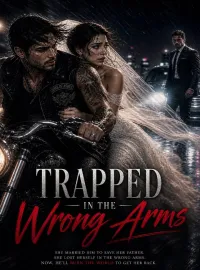Trapped In The Wrong Arms  Novel Cover