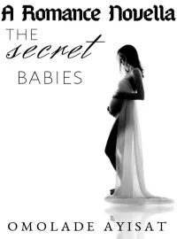The Secret Babies Novel Cover