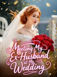 Meeting My Ex-Husband at My Wedding