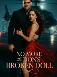 No More the Don's Broken Doll Novel Cover