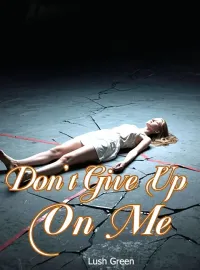 Don't Give Up On Me Novel Cover