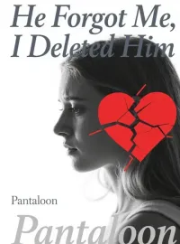 He Forgot Me, I Deleted Him Novel Cover