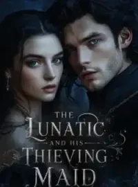 The Lunatic And His Thieving Maid Novel Cover