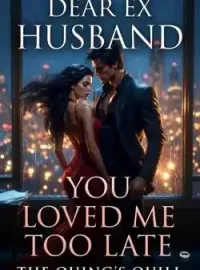 DEAR EX HUSBAND, YOU LOVED ME TOO LATE Novel Cover