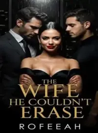 The Wife He Couldn't Erased Novel Cover