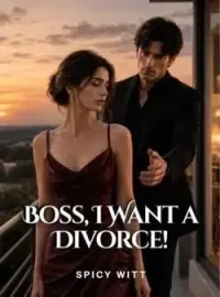 Boss, I Want a Divorce! Novel Cover