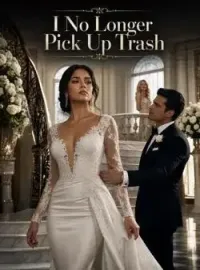 I No Longer Pick Up Trash Novel Cover