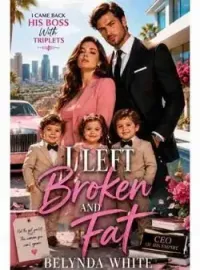 I Left Broken and Fat, I Came Back His Boss With Triplets  Novel Cover