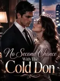 No Second Chance With The Cold Don Novel Cover
