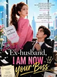 Dear Ex-husband I Am Now Your Boss  Novel Cover