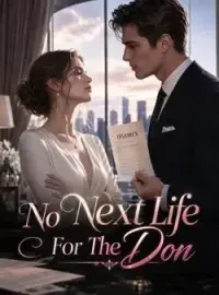 No Next Life For The Don Novel Cover