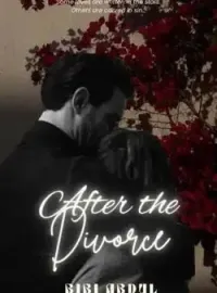 After Divorce Novel Cover