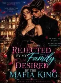 Rejected By My Family, Desired By The Mafia Novel Cover