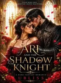 Ari and the shadow knight 