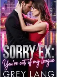 Sorry Ex You're Out Of My League  Novel Cover