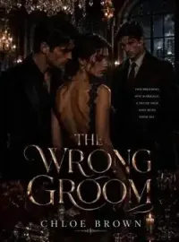 The Wrong Groom  Novel Cover